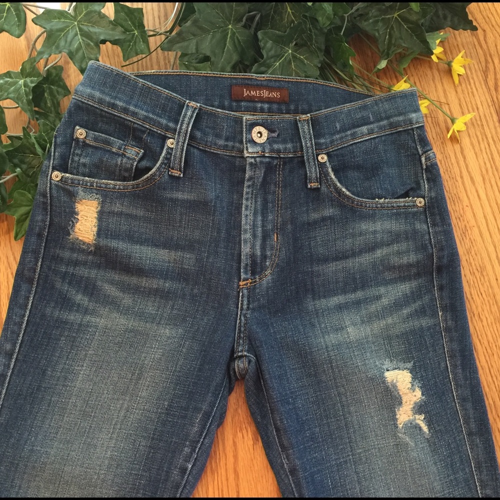 James Jeans Distressed Twiggy